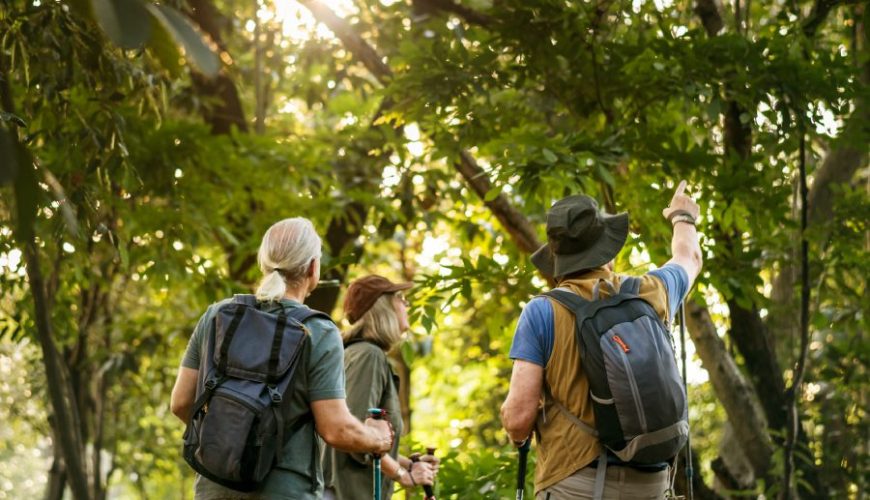 Hiking in Forest - Tourism in Georgia 2023