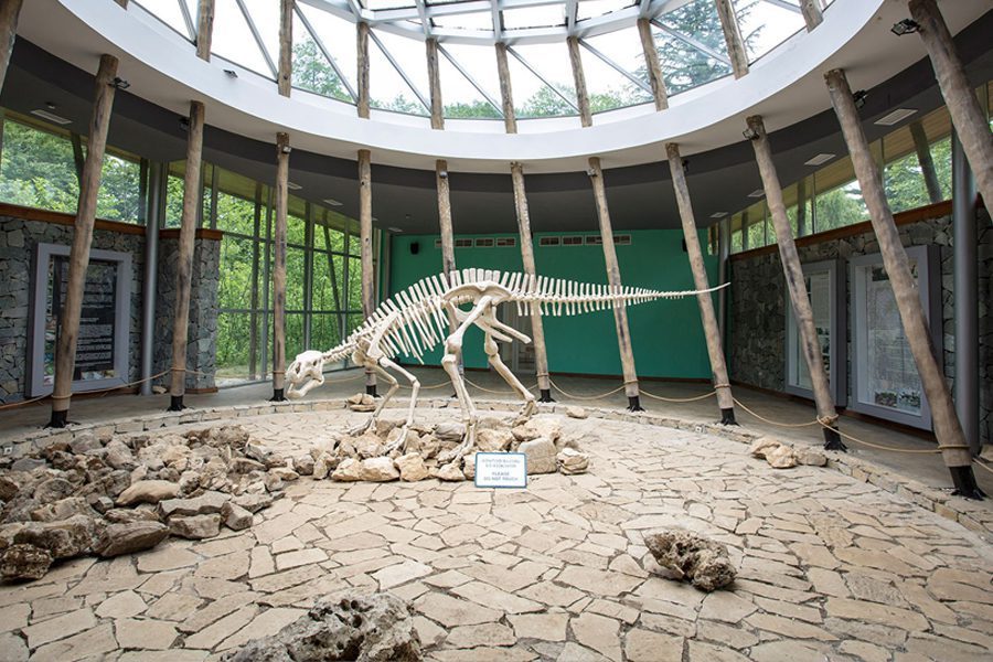 Dinosaur skeleton exhibit inside the visitor center at Sataplia Nature Reserve near Kutaisi, Georgia