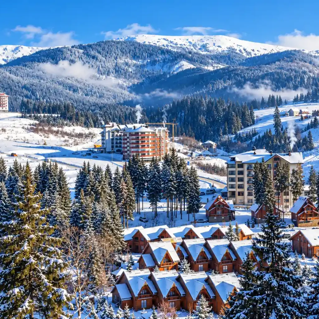 winter scene optimized 150 250KB
